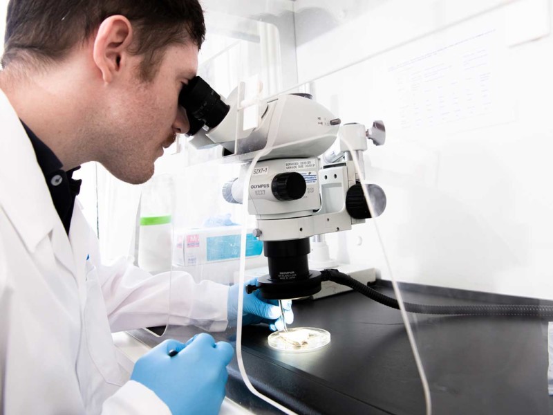Air Quality Testing Sydney Indoor Air Quality Testing Australia