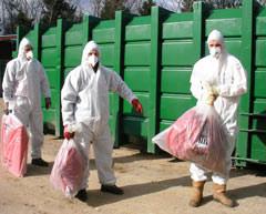 Asbestos eradication will face challenges