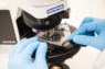 An image of sample tested under microscope