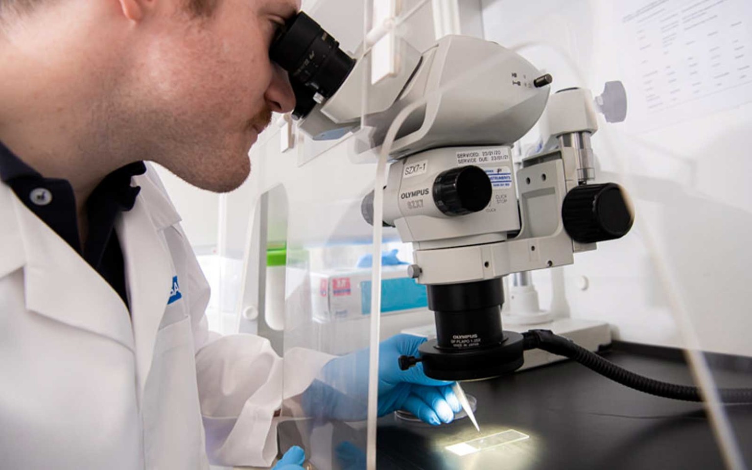 Asbestos Sample Testing Airsafe