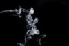 White smoke rising against a dark background
