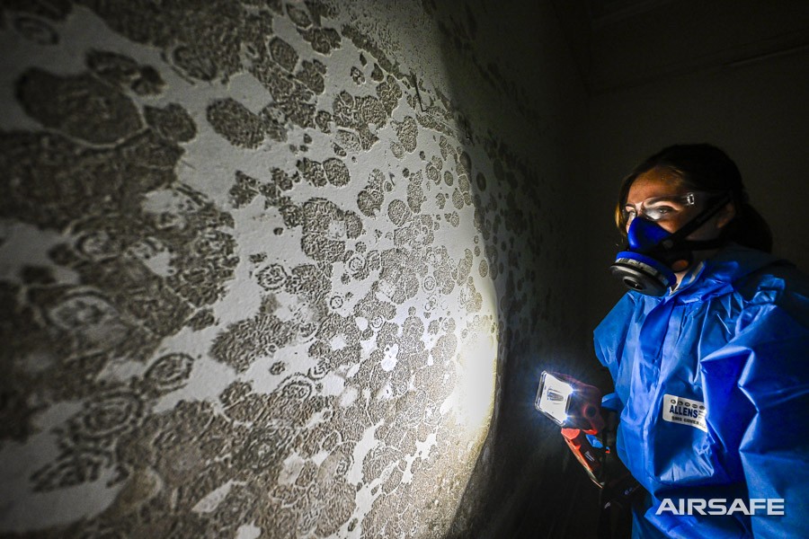 An Airsafe consultant examining dense mould growth on a wall by torchlight