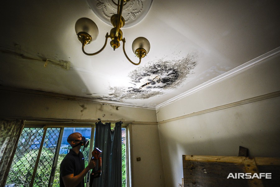 An Airsafe consultant inspecting mould growth on a ceiling around a light fitting