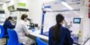 Airsafe laboratory staff analysing samples at fume cupboards in the company's Sydney laboratory