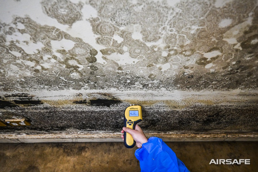 A moisture meter held against a wall with dense black mould growth