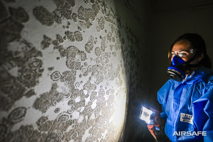 An Airsafe consultant in coveralls and respirator inspecting heavy mould growth by torchlight