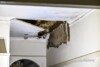 Water-damaged plasterboard ceiling collapsed and hanging open, exposing the ceiling cavity